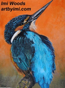 kingfisher ARTbyIMI